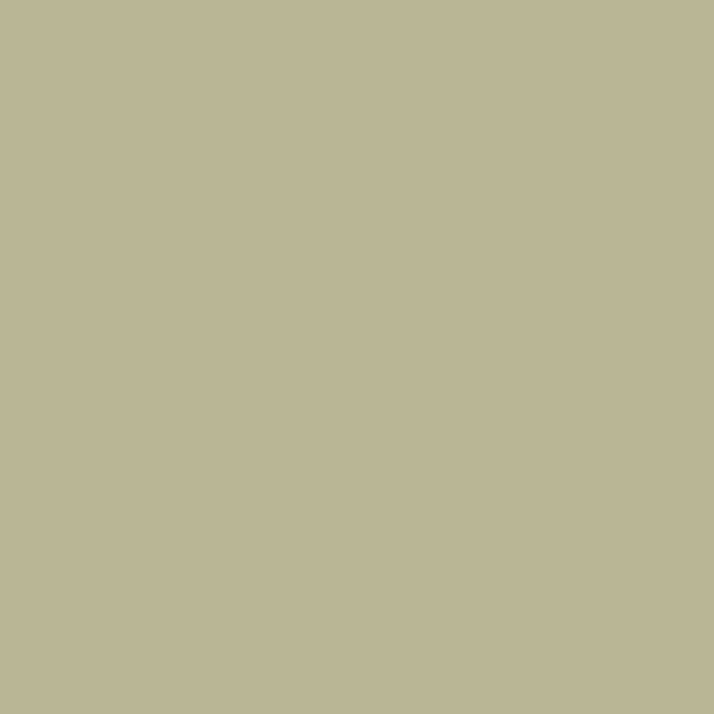 Fossil-3_fa761341-0555-4a92-81ad-3a7233279a06.png