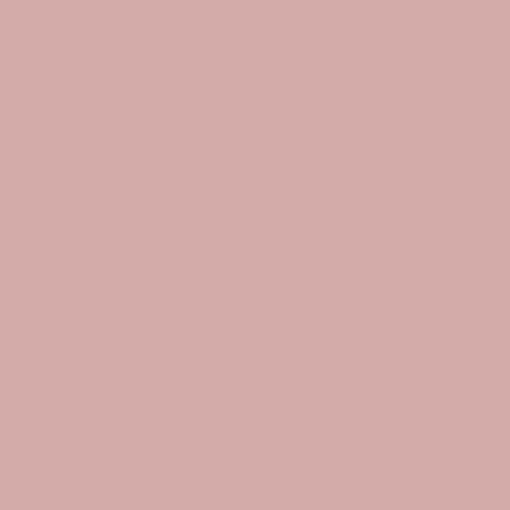 Salmon-3.png